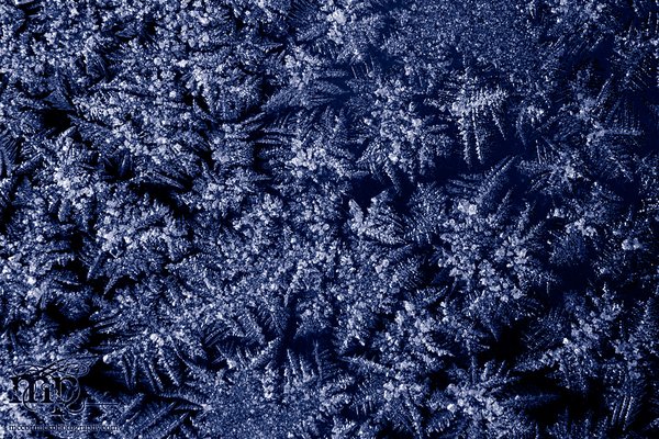 Feeling frosty