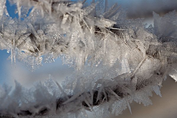 Ice palace