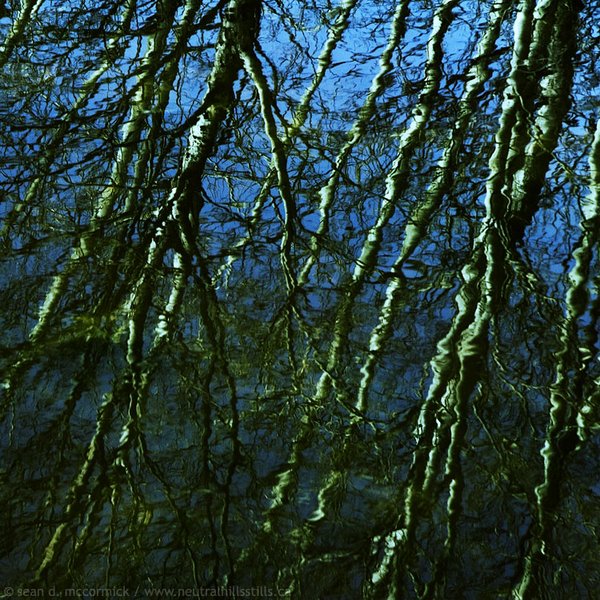 Water on the brain [3 of 3]
