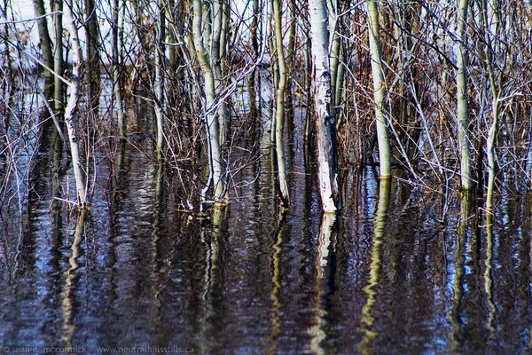 Water on the brain [1 of 3]