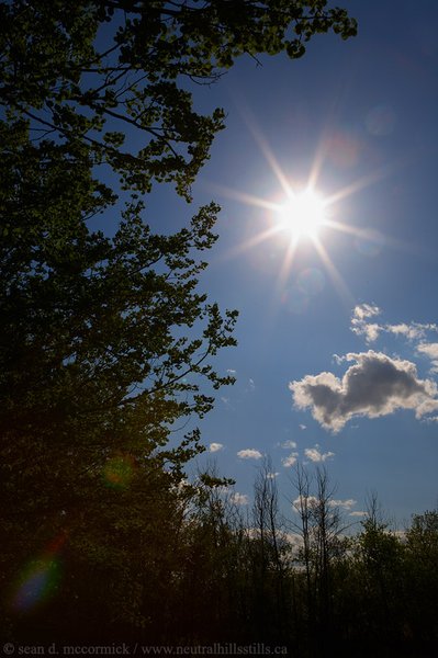 Damn hot out today