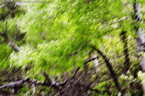 The wind nearly tipped my VERY heavy tripod