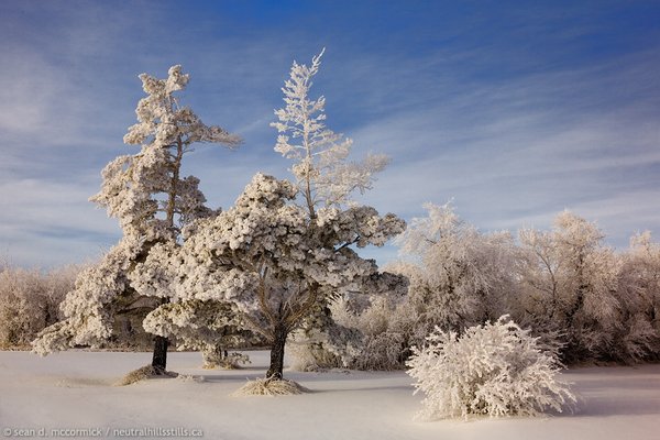 Dreaming of a white Christmas