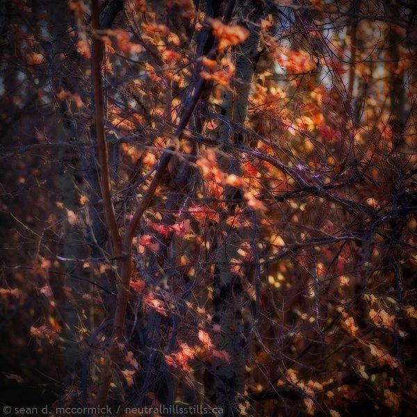 Getting my texture freak on