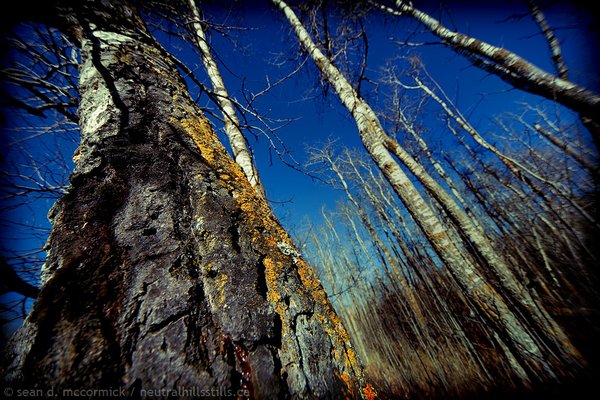 LOMO Moment: Don't think, just shoot!