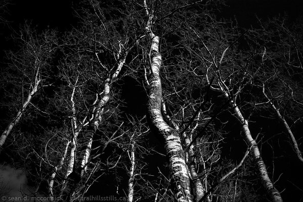 Gratuitious use of a red filter