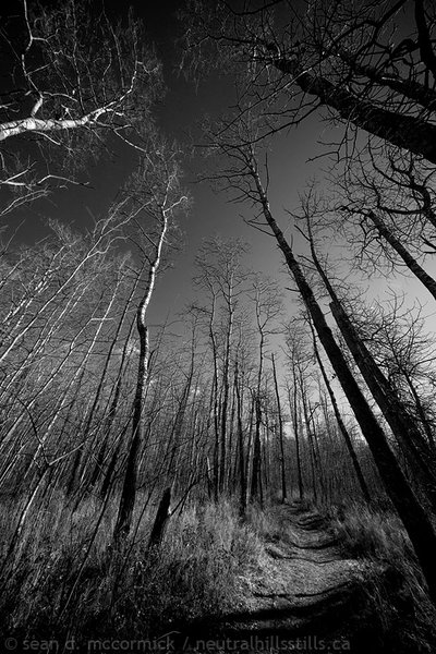 Off the beaten path