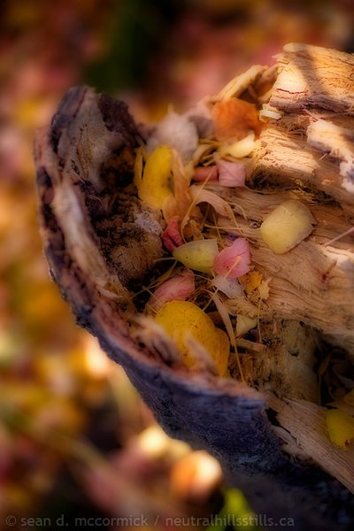 Fall bouquet