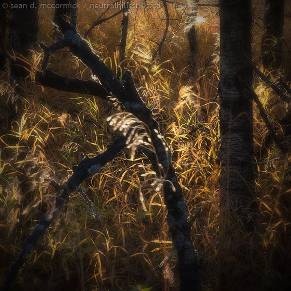 How do you photograph a feeling?