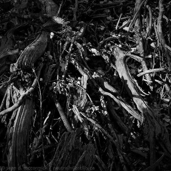 Deadfall