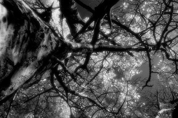 Looking beyond the obvious
