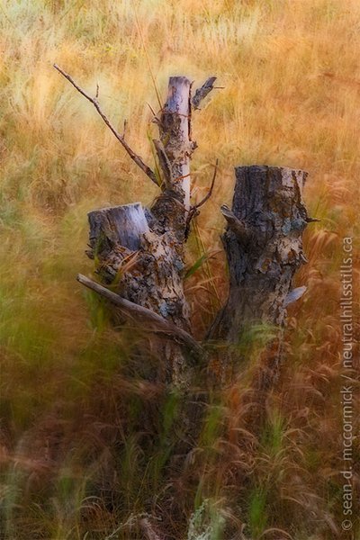 Unmoved