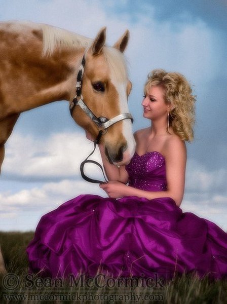 A horse, of course