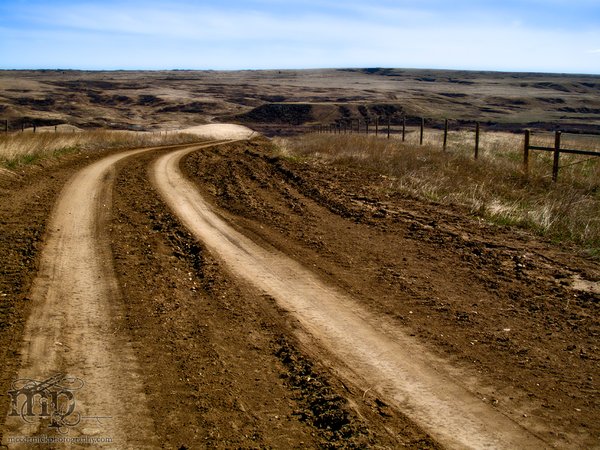 Watson Coulee 2011: The road in
