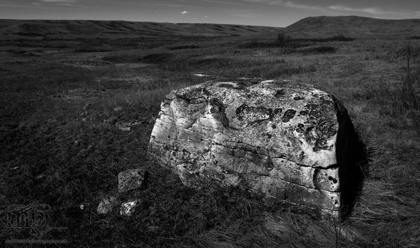 Watson Coulee 2011: Buffalo rubbing rock [1 of 8]