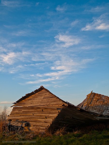 Collapsed chicken coop at dusk