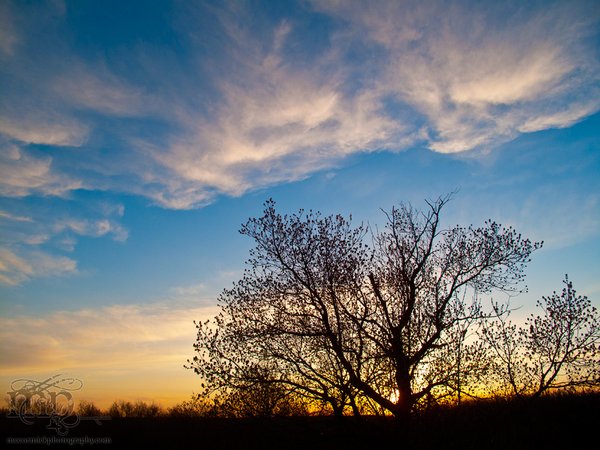 Sunset, May 09 2011 [3 of 3]