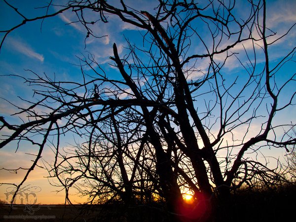 Sunset, May 09 2011 [1 of 3]