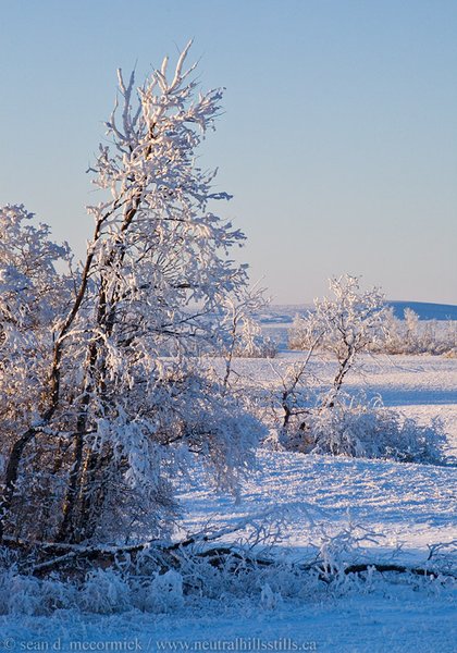Still some frost left at the end of the day