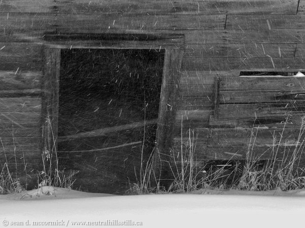 Kirriemuir Storm 2008: Any port in a storm