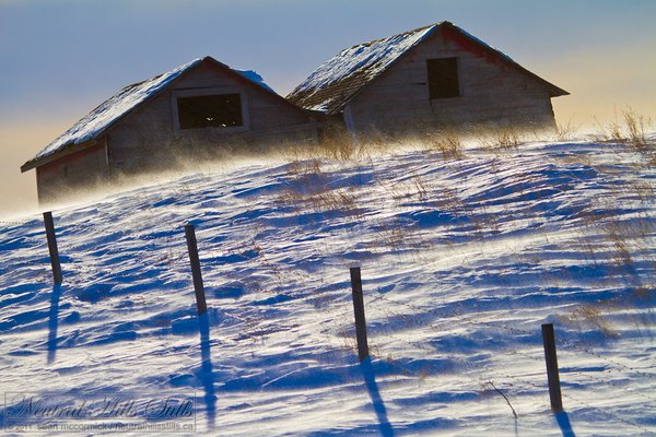 Jan 2011: Twin graineries and blowing snow