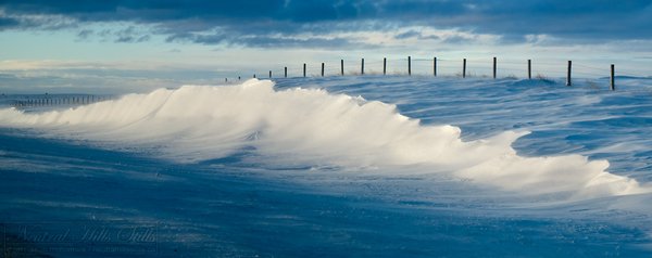 Jan 19, 2011: Surf's up