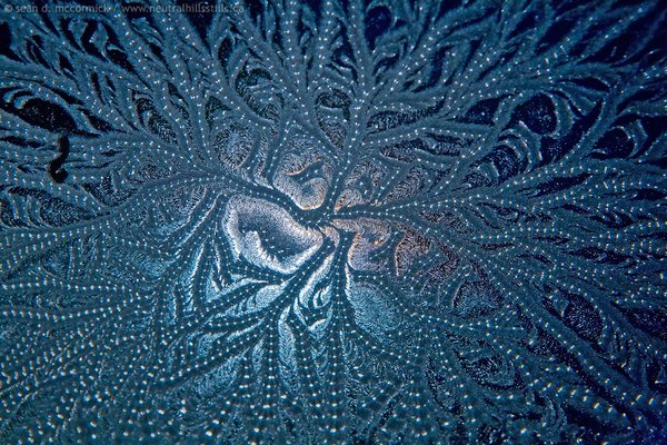 Jan 08, 2010: Frost on the window