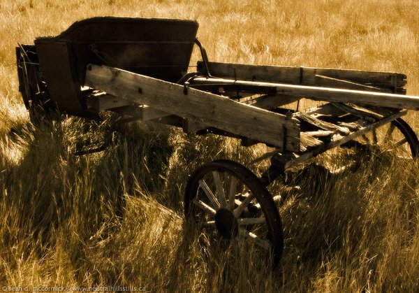 Bennett Buggy