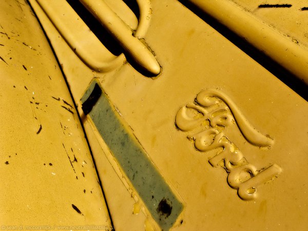 Old Yeller
