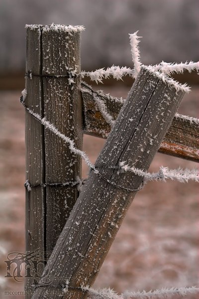 Two posts