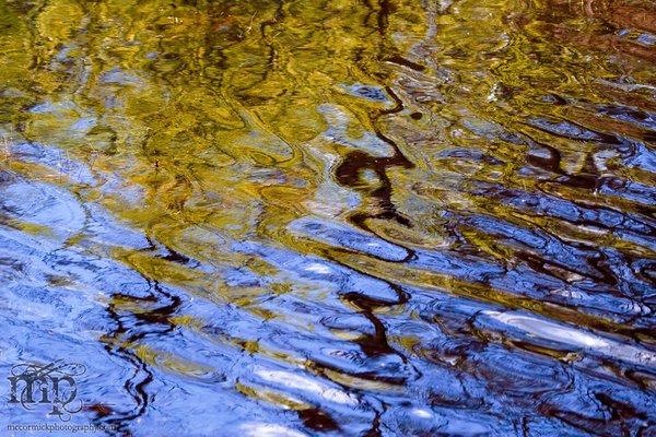 Ripples [2 of 2]