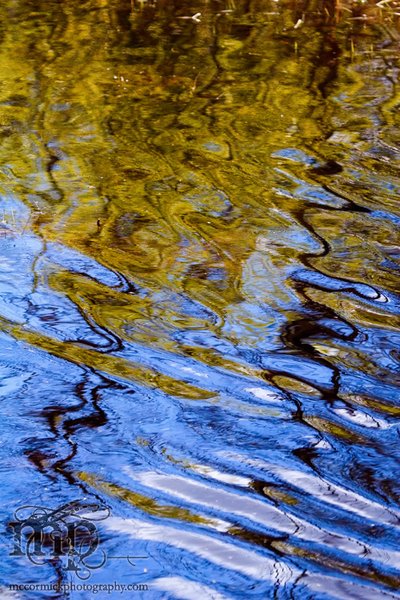Ripples [1 of 2]