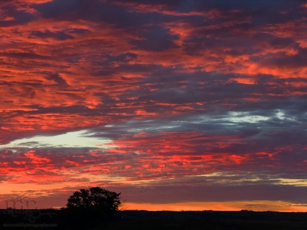 July 16, 2006: Sunrise
