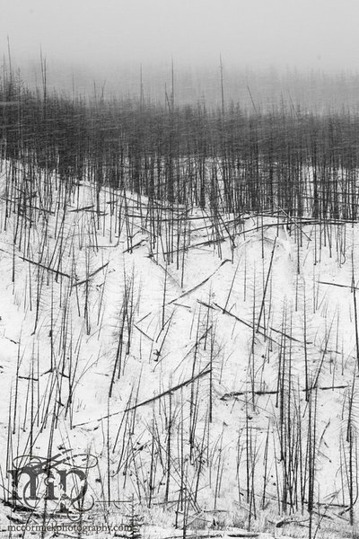 Radium: Frozen fire wasteland [2 of 2]