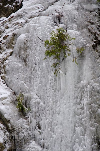 Radium: Ice beard [3 of 3]