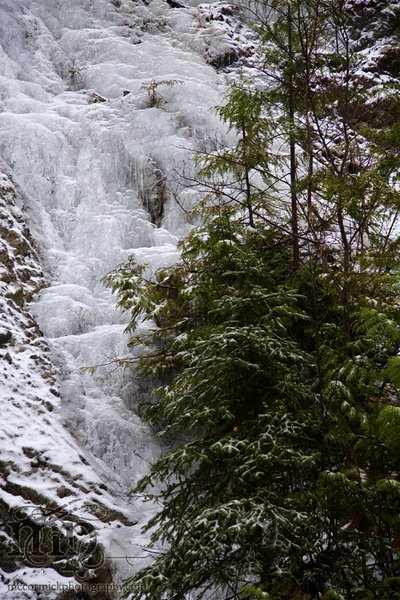 Radium: Ice beard [2 of 3]