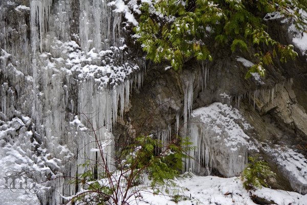 Radium: Ice beard [1 of 3]