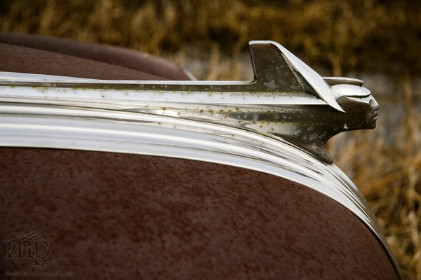 Sidelined Pontiac [5 of 6]