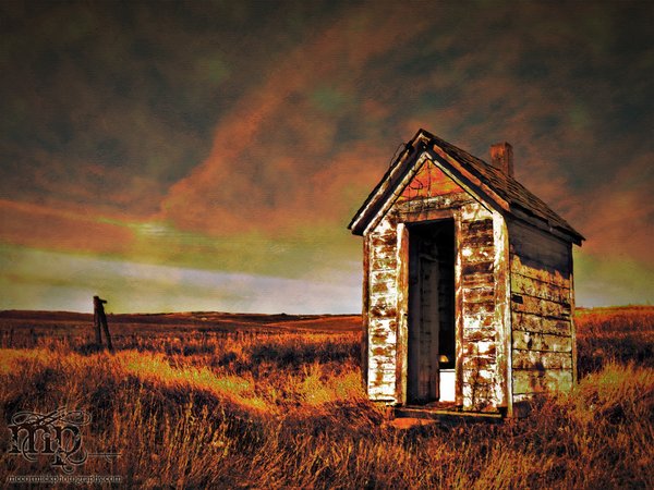 Outhouse presented as fake Monet painting