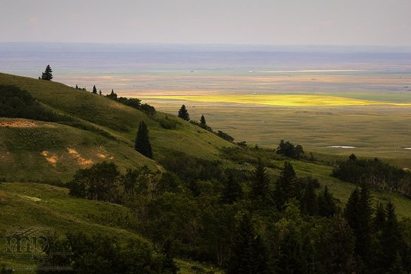 Cypress Hills 2007: The view