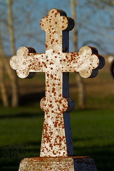 Senkiw Geocache Visit, 2011-05-12: Cross my heart and hope to die