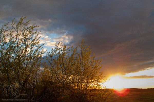 Sunset, May 16, 2011 [3 of 3]