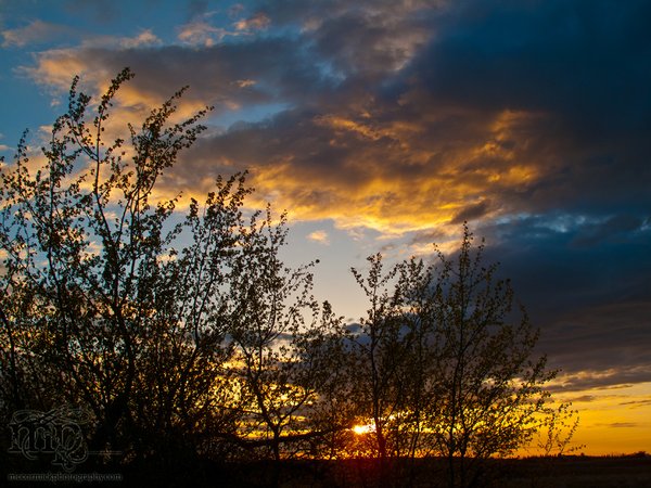 Sunset, May 16, 2011 [2 of 3]