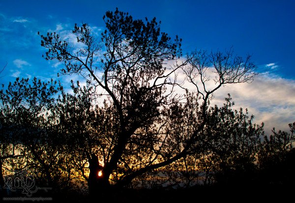Sunrise, May 17, 2011