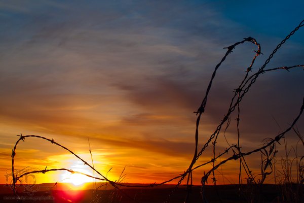 Sunset, May 17, 2011 [2 of 2]