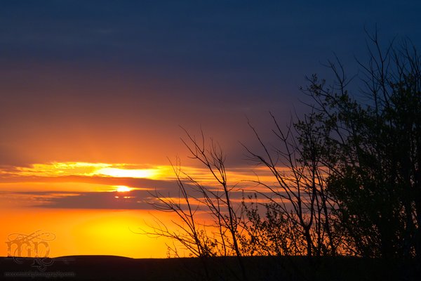 May 20th Student Photo Shoot: Sunrise [4 of 4]