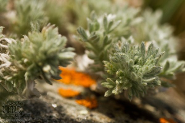 May 21 - After the shoot: Rock cruft [3 of 3]