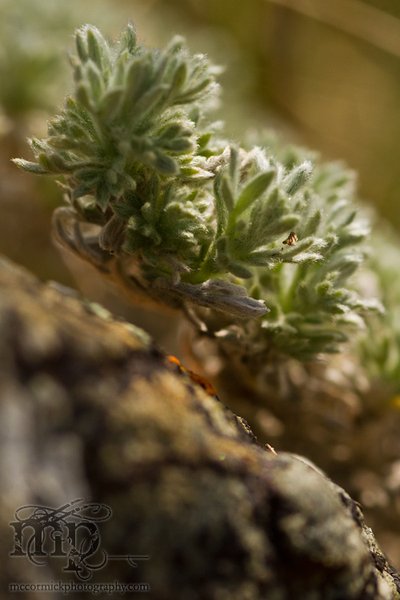 May 21 - After the shoot: Rock cruft [2 of 3]
