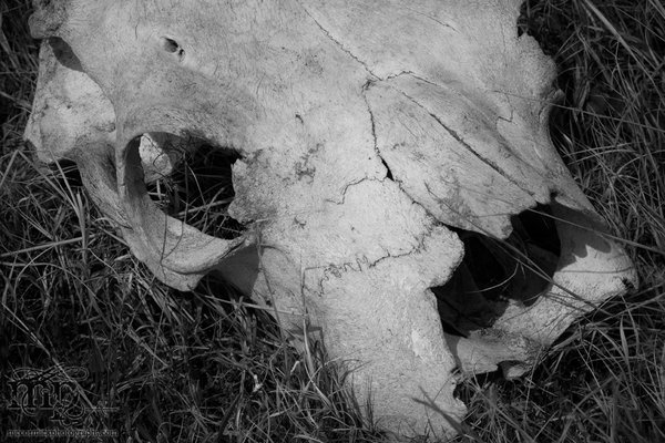 May 21 - After the shoot: A little cracked in the head