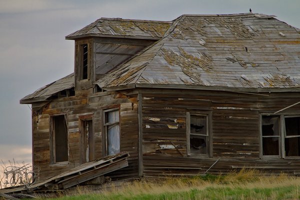 Unidentified homstead west of Esther AB